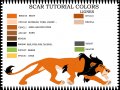 Scar_color_model_by_Lucifer017.jpg
